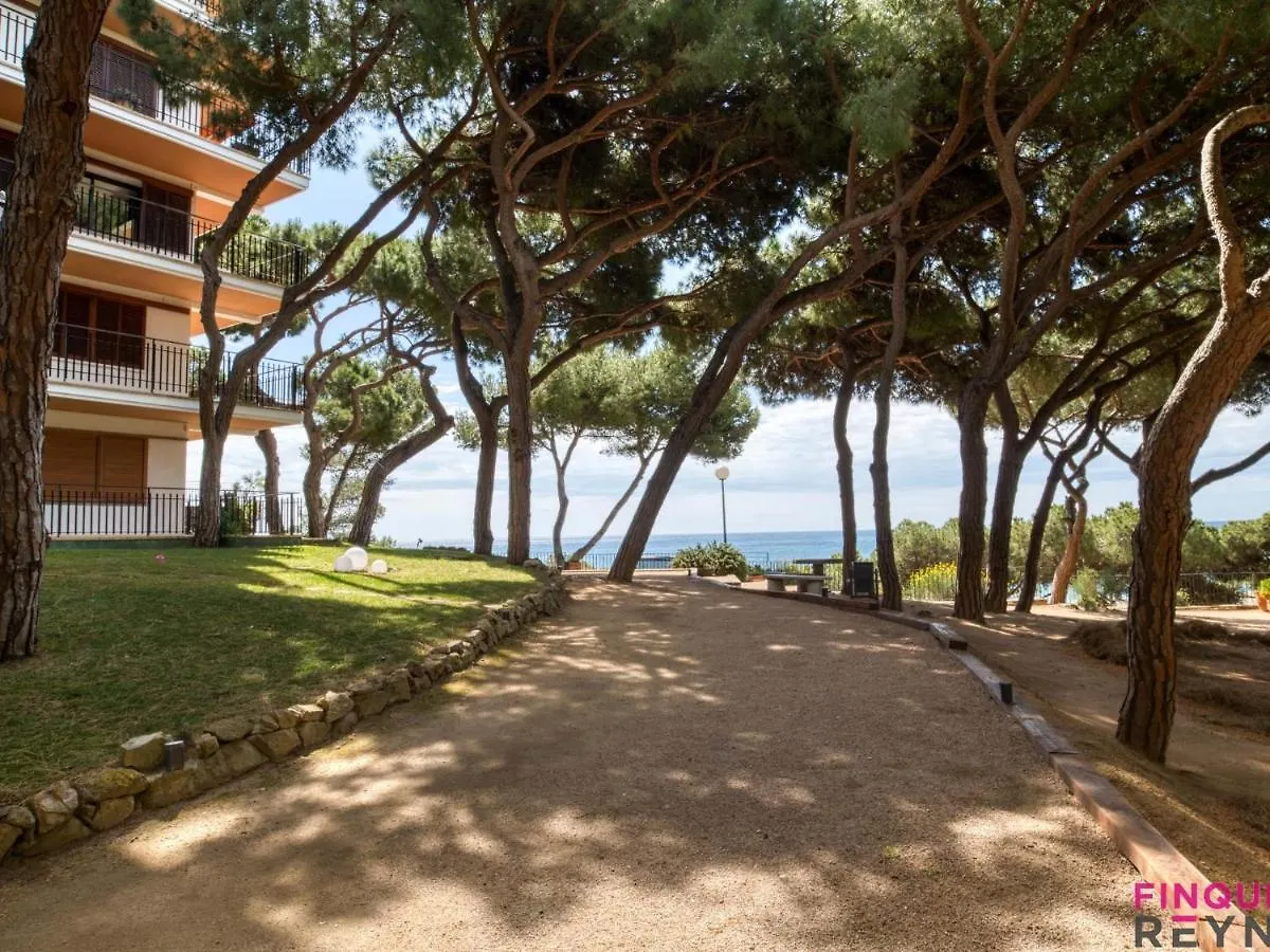 Cavall Bernat Platja d'Aro