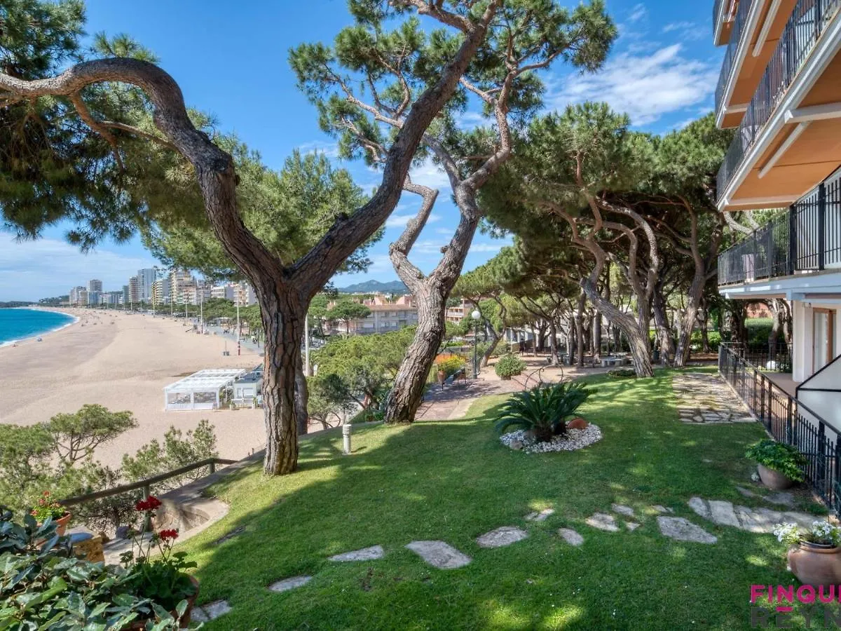Cavall Bernat Platja d'Aro 0*,  Hiszpania