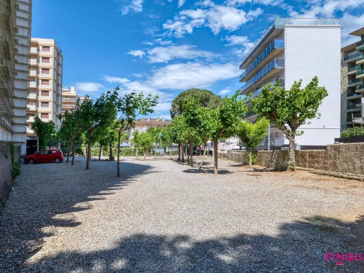 Cavall Bernat Platja d'Aro