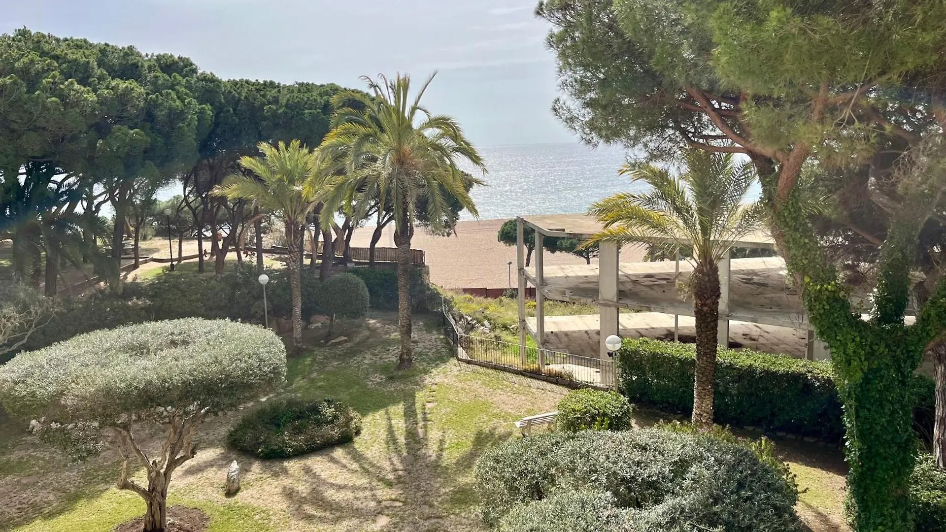 Cavall Bernat Platja d'Aro Hiszpania